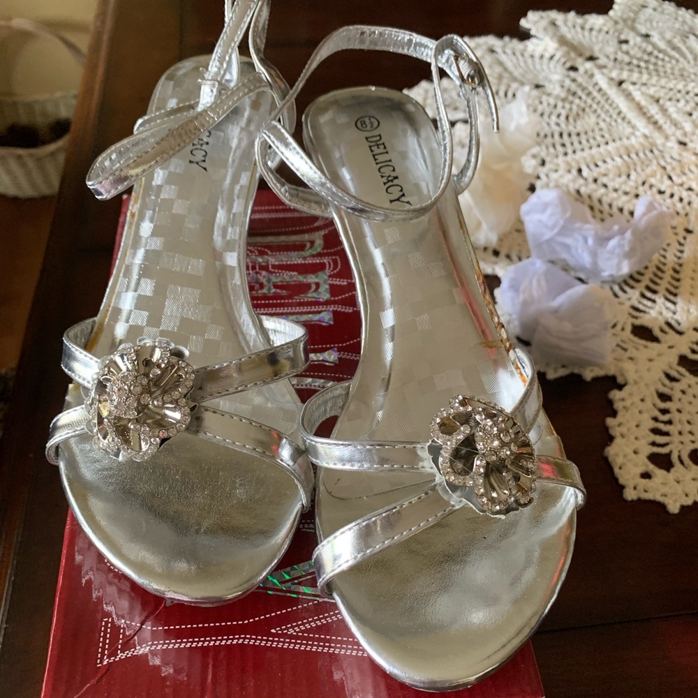 Delicacy Silver Dress Shoes